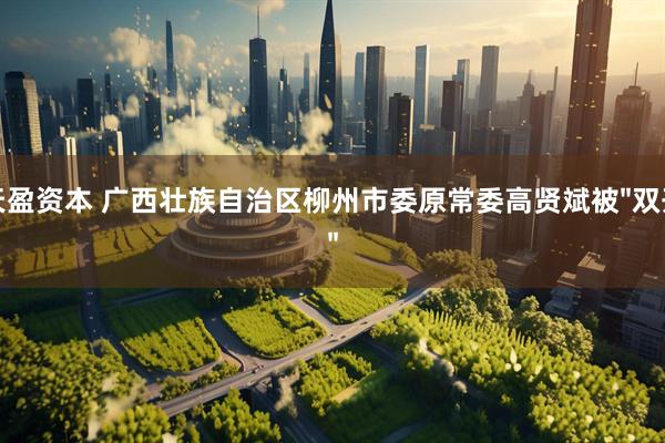 天盈资本 广西壮族自治区柳州市委原常委高贤斌被"双开"