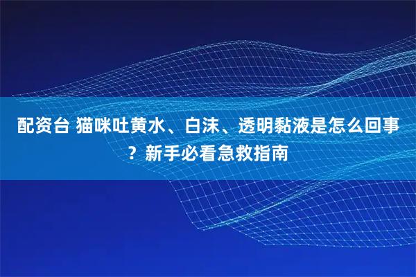 配资台 猫咪吐黄水、白沫、透明黏液是怎么回事?新手必看急救指南