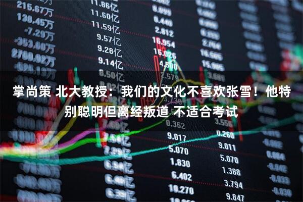掌尚策 北大教授：我们的文化不喜欢张雪！他特别聪明但离经叛道 不适合考试