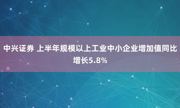 中兴证券 上半年规模以上工业中小企业增加值同比增长5.8%